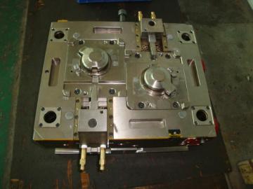mold