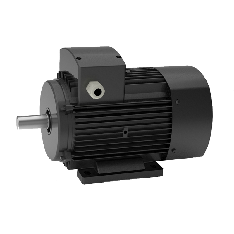 Permanent Magnet Assisted  Synchronous Reluctance Motor