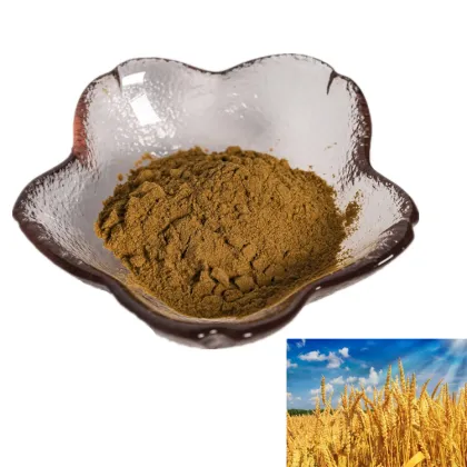 10:1 barley malt extract powder