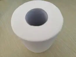 toilet rolls