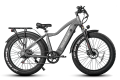 BICICLETTA ELETTRICA FAT MOTORE 750W