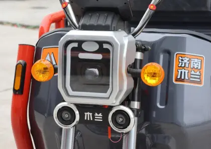 60 V Motor Heavy Loading Electric Cargo Tricycle