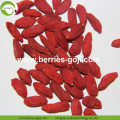 Factory Wholesale Fruit Best Quality Wolfberries