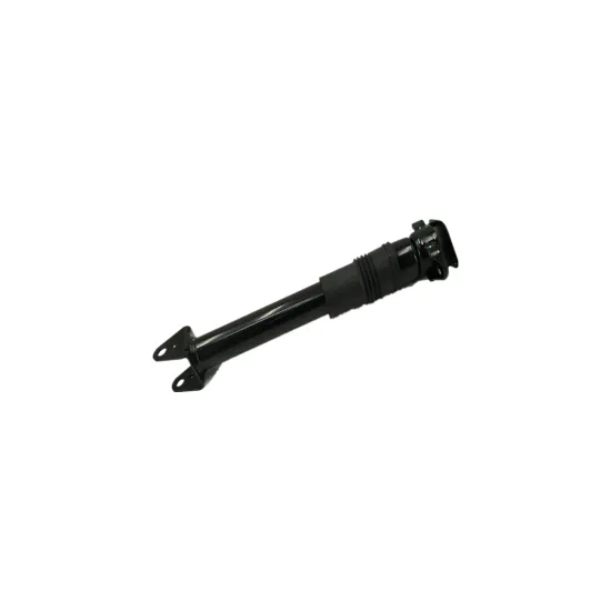Mercedes-Benz Shock Absorber A2513201131