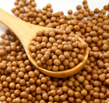 Customize Health Benefits Spice Roasted Ginger Pills