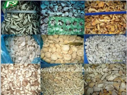 Golden supplier of all types frozen porcini mushrooms,frozen oyster mushroom,frozen mushroom