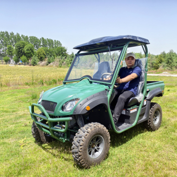 Electric UTV Side By Side 4x4 for Adults