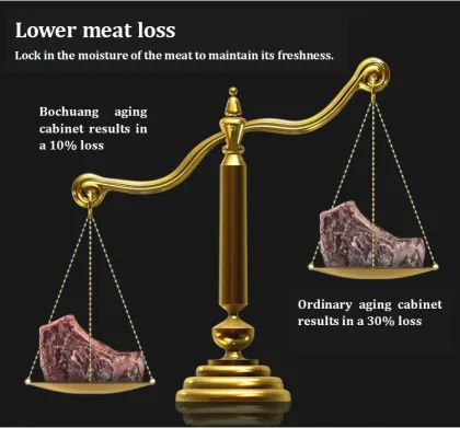 Stainless Steel Beef or Steak Dry Ager Refrigerator