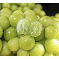 Masarap na Seedless Shine Muscat Grape Fresh