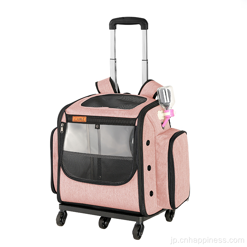屋外猫とキャリーバッグ旅行スーツケースペット