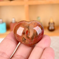 Piedra de palma pulida con corazón de madera petrificado