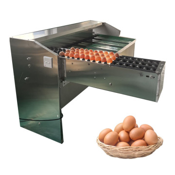 Egg Classifier: Industrial Egg Weight Sorting Machine
