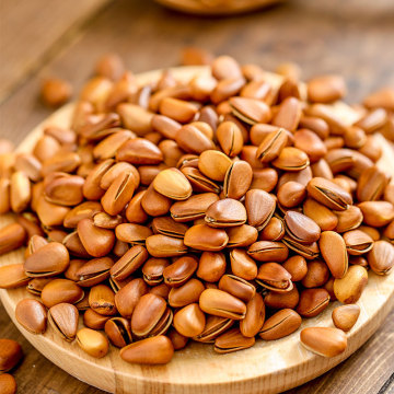 Wholesale Agriculture Products Pine nuts natural nuts