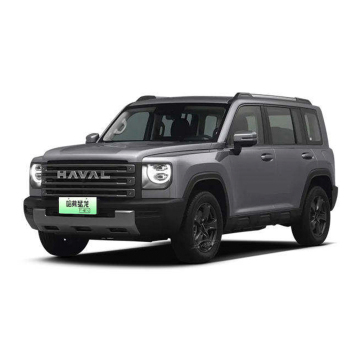 Adult Electric SUV: Great Wall Haval Menglong New Energy Vehicle