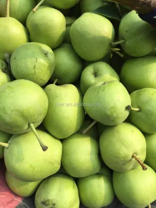 New season green shandong pear  fresh crown pear ya pear