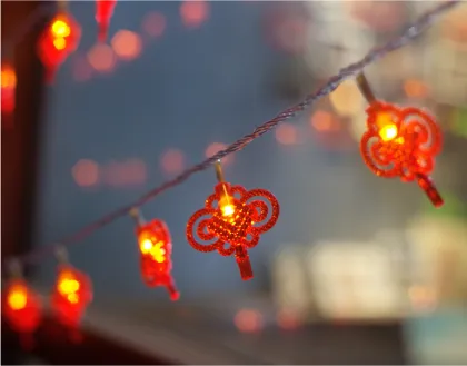 LED Chinese Knot Flashing Lights