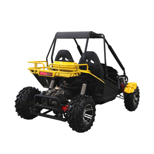 เครื่องยนต์ 250cc ขับเคลื่อน 4 ล้อ buggy go kart