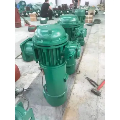 Wire Rope Hoist Capacity 500kg to 10t: Types and Origins