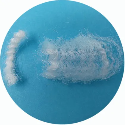 Chemical Raw Material: Coarse Denier Nylon Fiber 60D 76MM