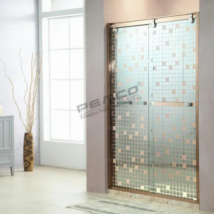 Adjustable Shower Partition Sliding 2 Panel Glass Shower Door Cabin
