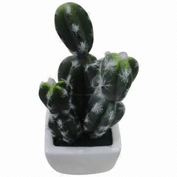 Plants for Green Decoration, Various Designs are Available