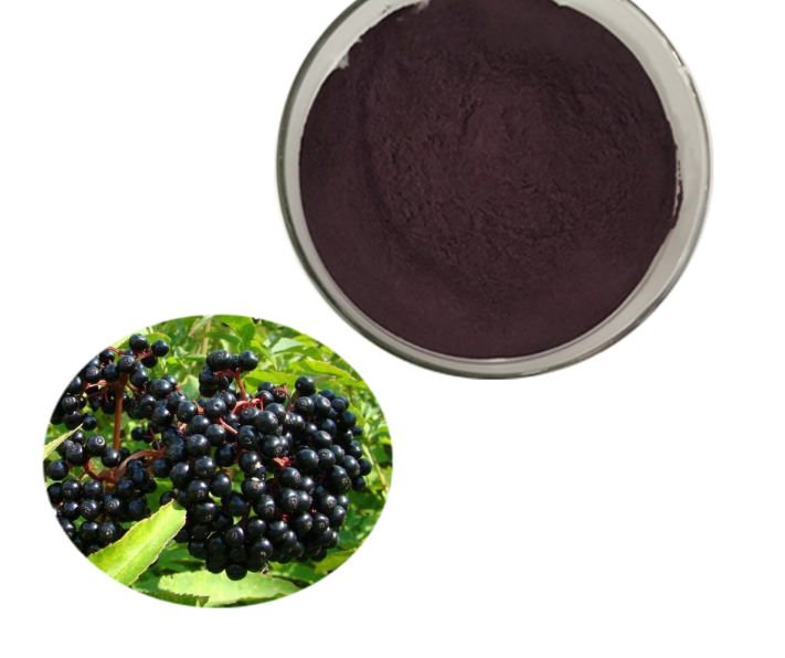 Elderberry Extract 4 Png