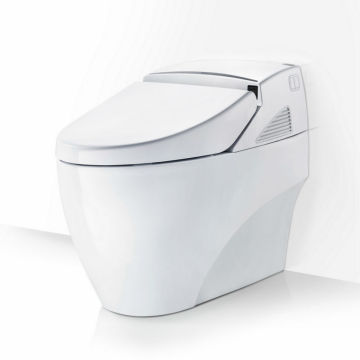 2012new and multifunctional electric toilet