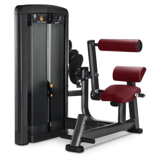 High Quality Back Extension Machine China Manufacturers Suppliers