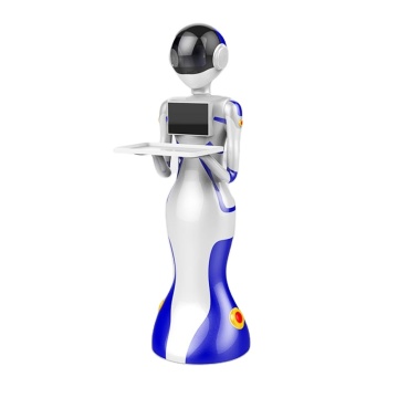 Intelligent Humanoid Robots for Restaurant Food Service and Commercial Delivery