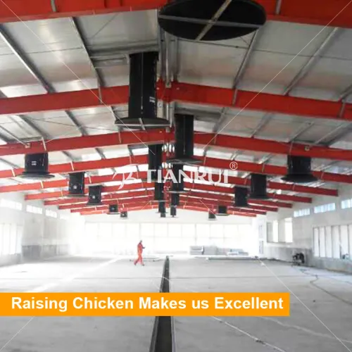 Different Types Of Poultry House For Broiler, High Quality Different