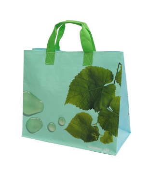 PP Plastic Shopping Bag (JMS-12324)
