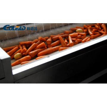 Commercial Carrot Washing and Peeling Machine