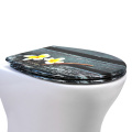 Fanmitrk Duroplast Toilet Seat Plumeria pattern UF819-40