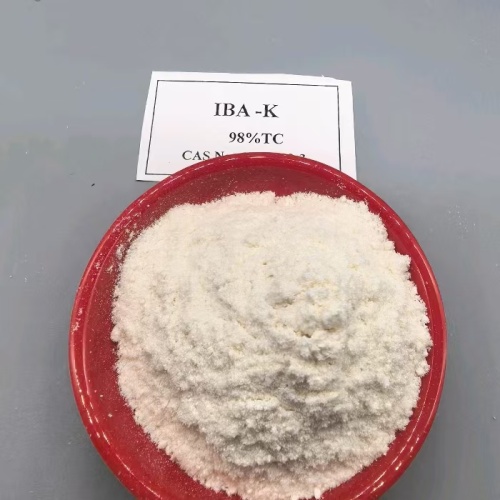 ออกซิน IBA K โพแทสเซียมอินโดล-3-บิวเทรต