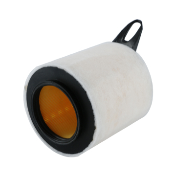 OEM Auto Air Filter 13717532754 - Najlepsza jakość