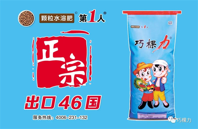 cocoly granular water-soluble fertilizer (7) cocoly granular water-soluble fertilizer (7)