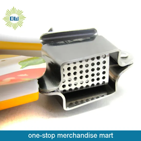 Stainless Steel Garlic Press