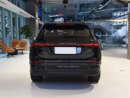 New Energy Vehicles: Audi 4WD Q5 E-tron 50 & 2WD Audi 40 E-tron