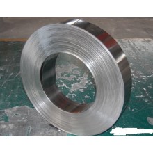 Prepainted galvanized steel coil for roofing sheet