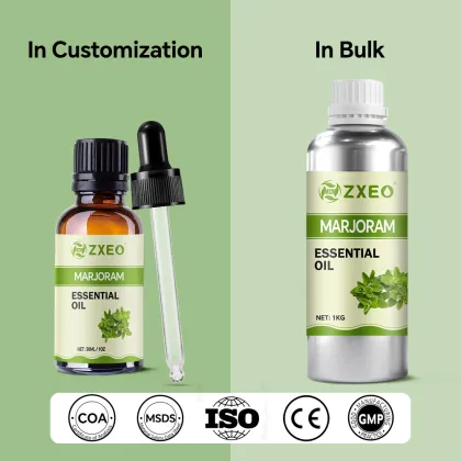 Marjoram Oil Wildly Used Aromatherapy Massage Cosmetics