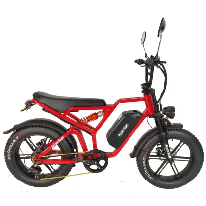 Snow retro electric bicycle