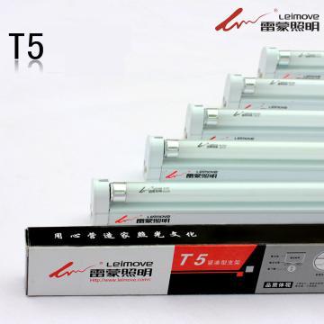 T4/T5 Fluorescent Light Fixture