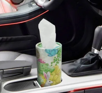 Biodegradable Printed Car Tissue Paper Box/Holder