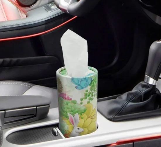 Biodegradable Printed Car Tissue Paper Box/Holder