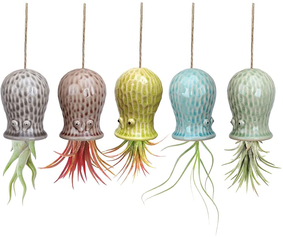 Cute Octopus Air Plant Hanger Wall Planter