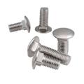 A2 A4 Stainless Steel carriage bolt screw