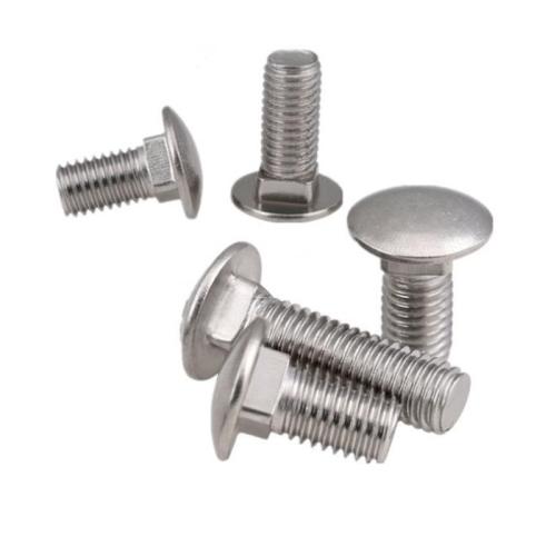 Stainless Steel carriage bolt screw