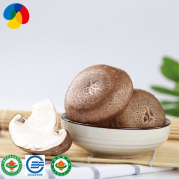 Edible Organic Fresh Shiitake Mushrooms