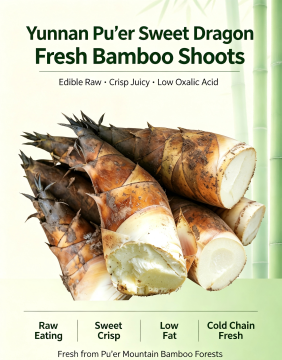 Fresh Edible Sweet Dragon Bamboo Shoots