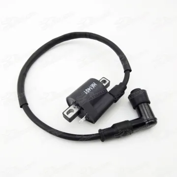150cc 200cc 250cc Dirt Bike ATV Quad Ignition Coil